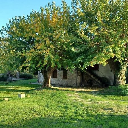Agriturismo Canonici Amelia Eksteriør bilde