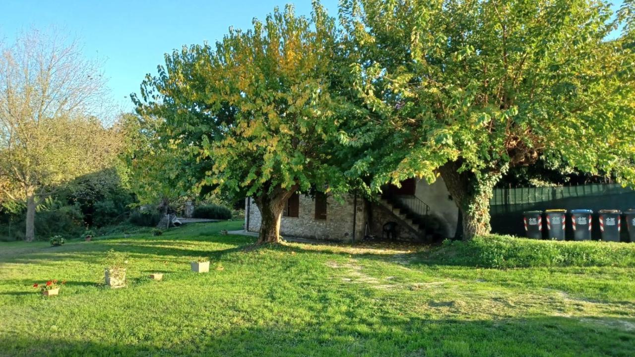 Agriturismo Canonici Amelia Eksteriør bilde